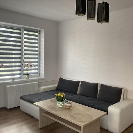 Apartament W Centrum Malborka Exterior photo